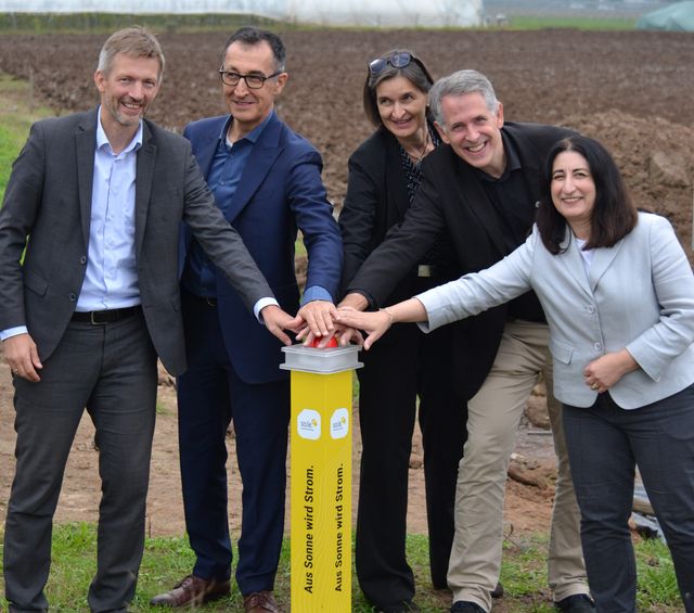 "Sonnen-Gärtnerei" in Ladenburg: PV-Anlage auf Gewächshäusern eröffnet