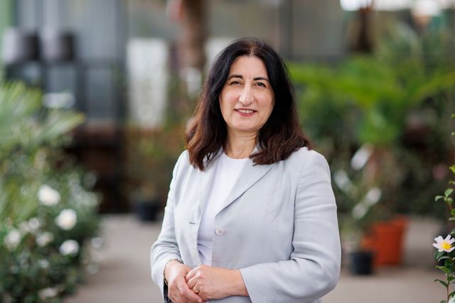 Integration: 90.000 Euro Zuschuss für Neckar-Odenwald-Kreis und Interkulturelles Digitalcafé